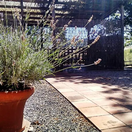 Podere Cherzo *