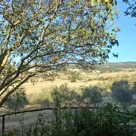 Podere Cherzo * Cinigiano