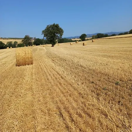Podere Cherzo בית נופש Cinigiano
