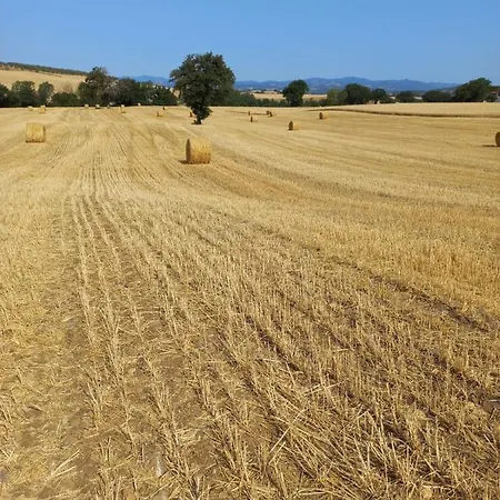 Podere Cherzo