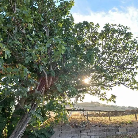 Podere Cherzo * Cinigiano